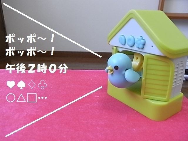ハト10.jpg