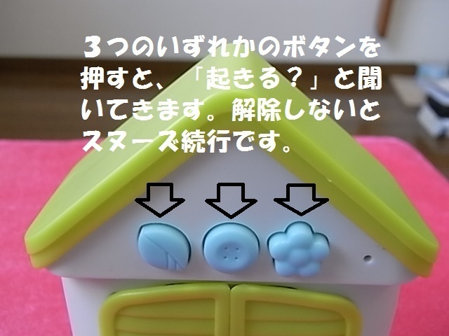 ハト12.jpg