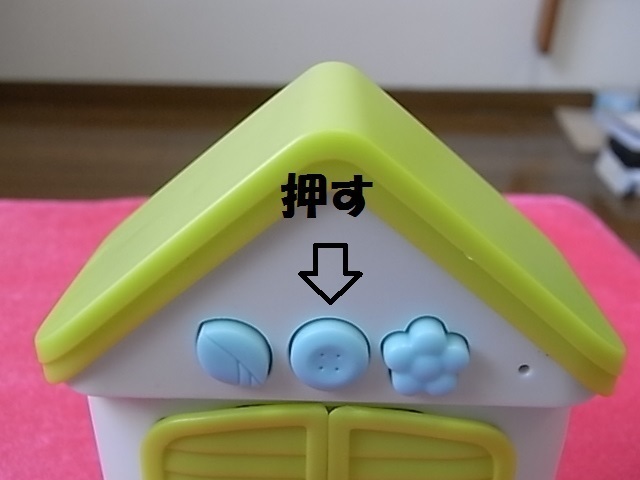 ハト3.jpg