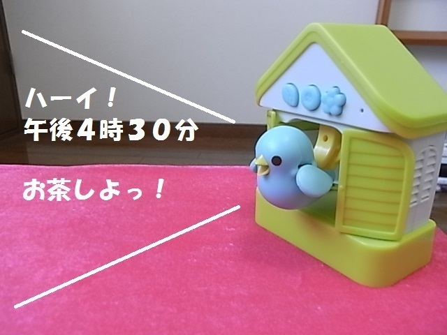 ハト4.jpg
