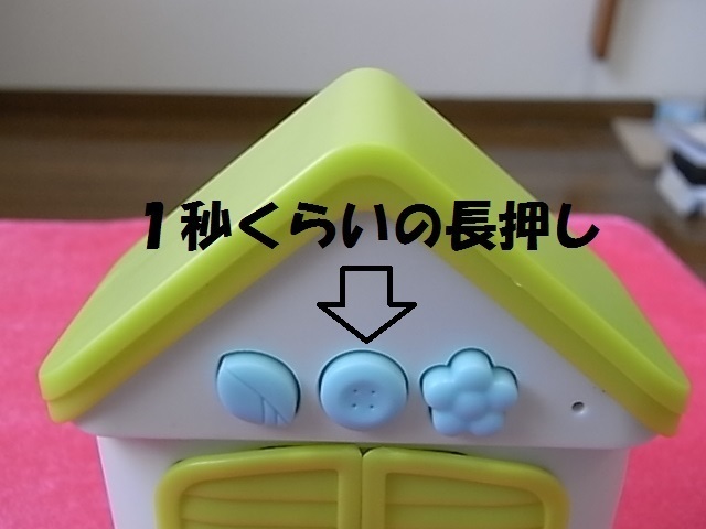 ハト5.jpg