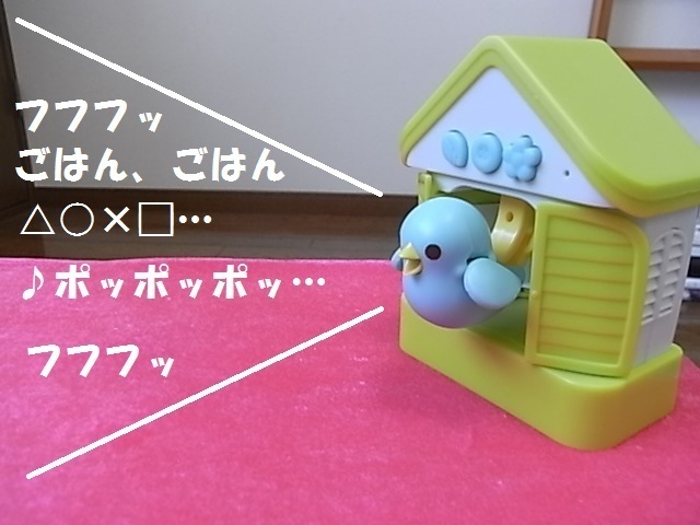 ハト6.jpg