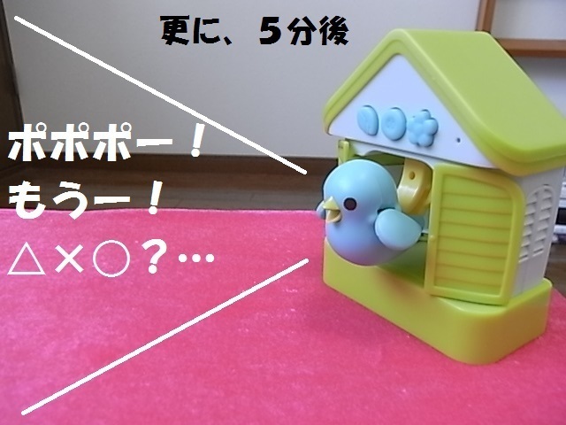 ハト9.jpg