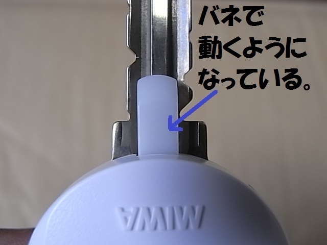 R0018386.JPG